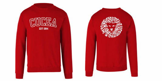 Sudadera cuello redondo